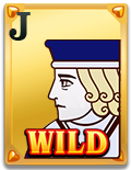 Introduction to Wild Ace: A Game Similar to Andar Bahar插图5