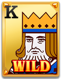 Introduction to Wild Ace: A Game Similar to Andar Bahar插图9