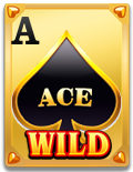 Introduction to Wild Ace: A Game Similar to Andar Bahar插图11