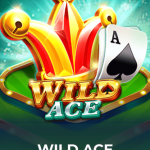 Intense Showdown: Wild Ace vs. Andar Bahar – Why Wild Ace Comes Out on Top缩略图